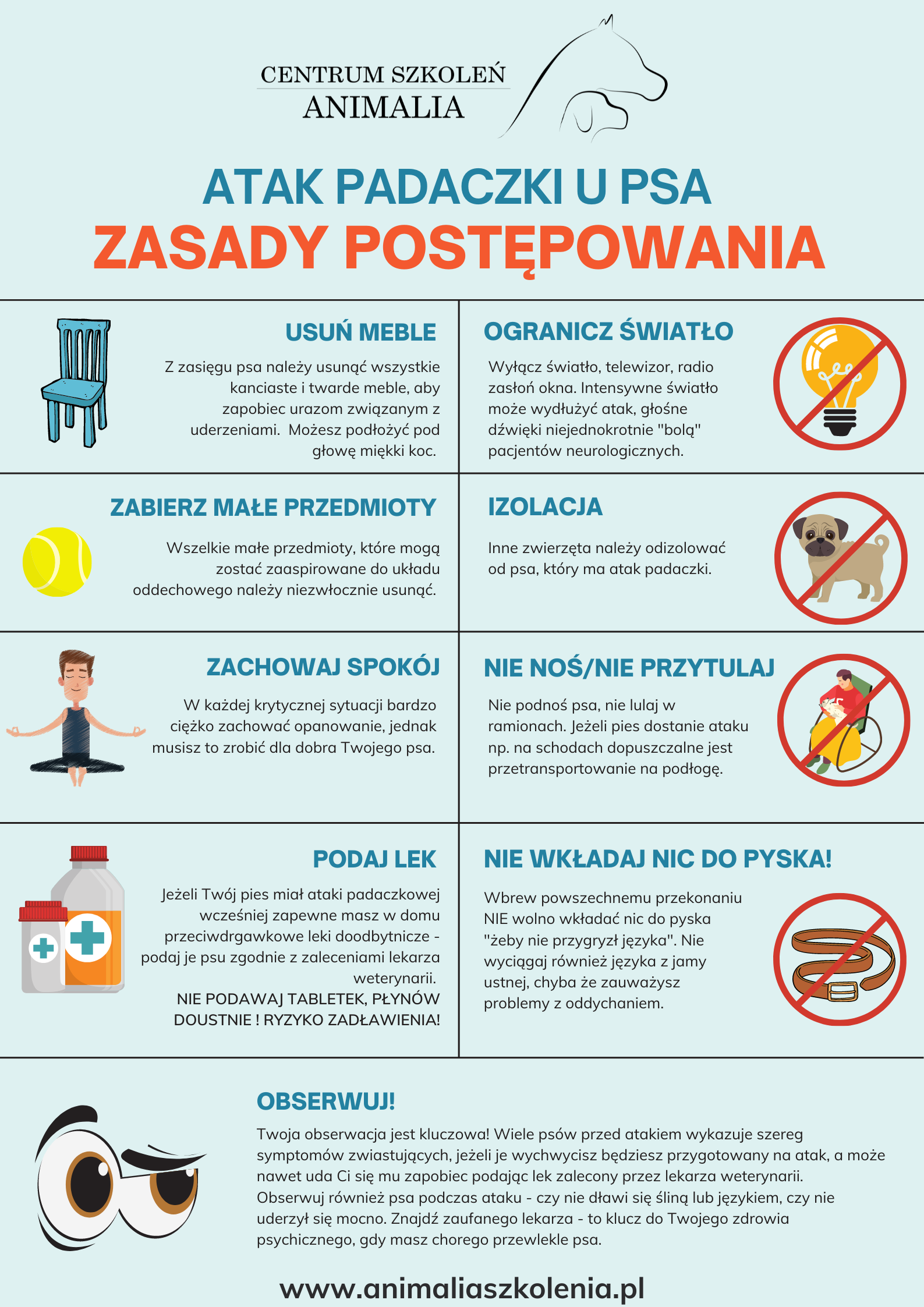 Atak padaczki u psa sposób postępowania Centrum Szkoleń Animalia