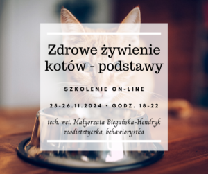 Zdrowe żywienie kotów - podstawy