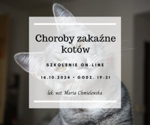 Choroby zakaźne kotów