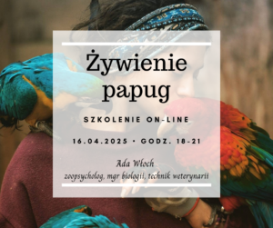 Żywienie papug