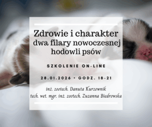 Zdrowie i charakter - dwa filary nowoczesnej hodowli psów
