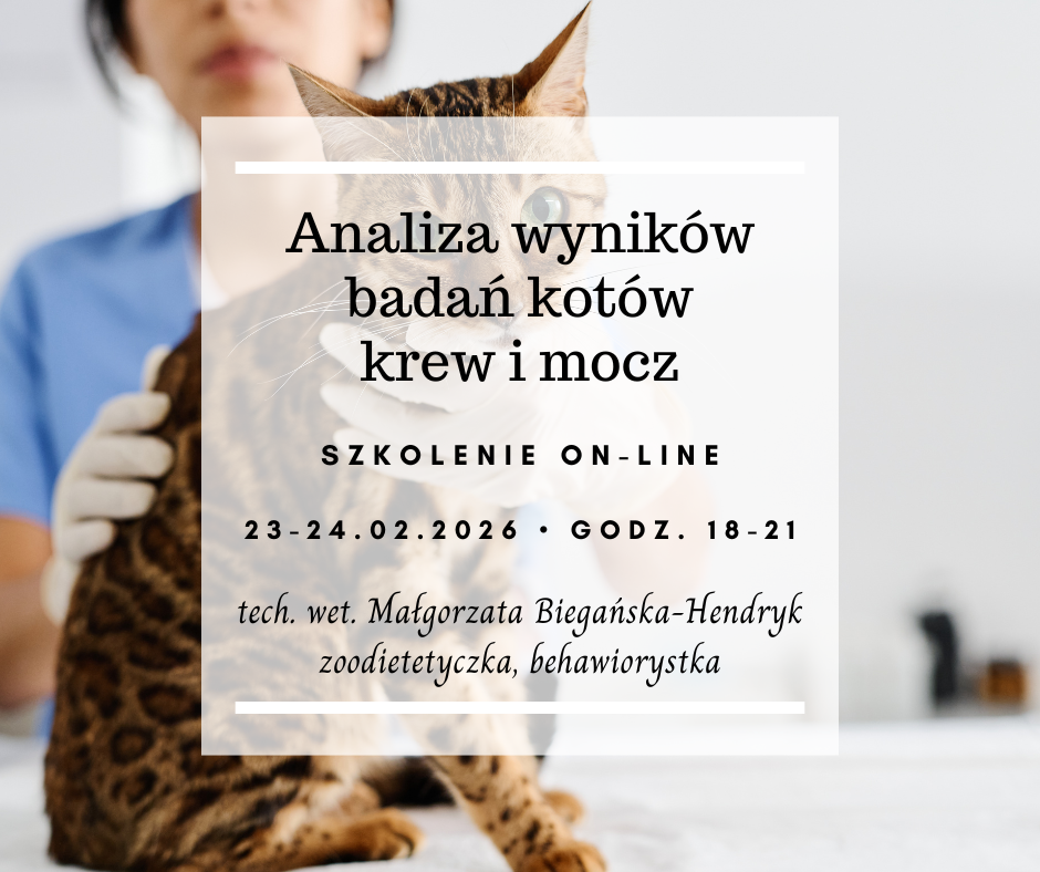 Analiza wyników badań kotów - krew i mocz