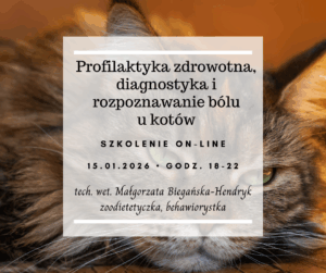 Profilaktyka zdrowotna, diagnostyka i rozpoznawanie bólu u kotów