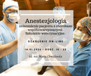 Anestezjologia - znieczulenie pacjenta z chorobami współtowarzyszącymi. Szkolenie weterynaryjne.