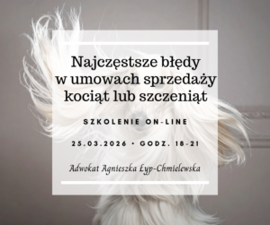 Najczęstsze błędy w umowach sprzedaży kociąt lub szczeniąt