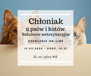 Chłoniak u psów i kotów. Szkolenie weterynaryjne
