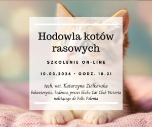 Hodowla kotów rasowych