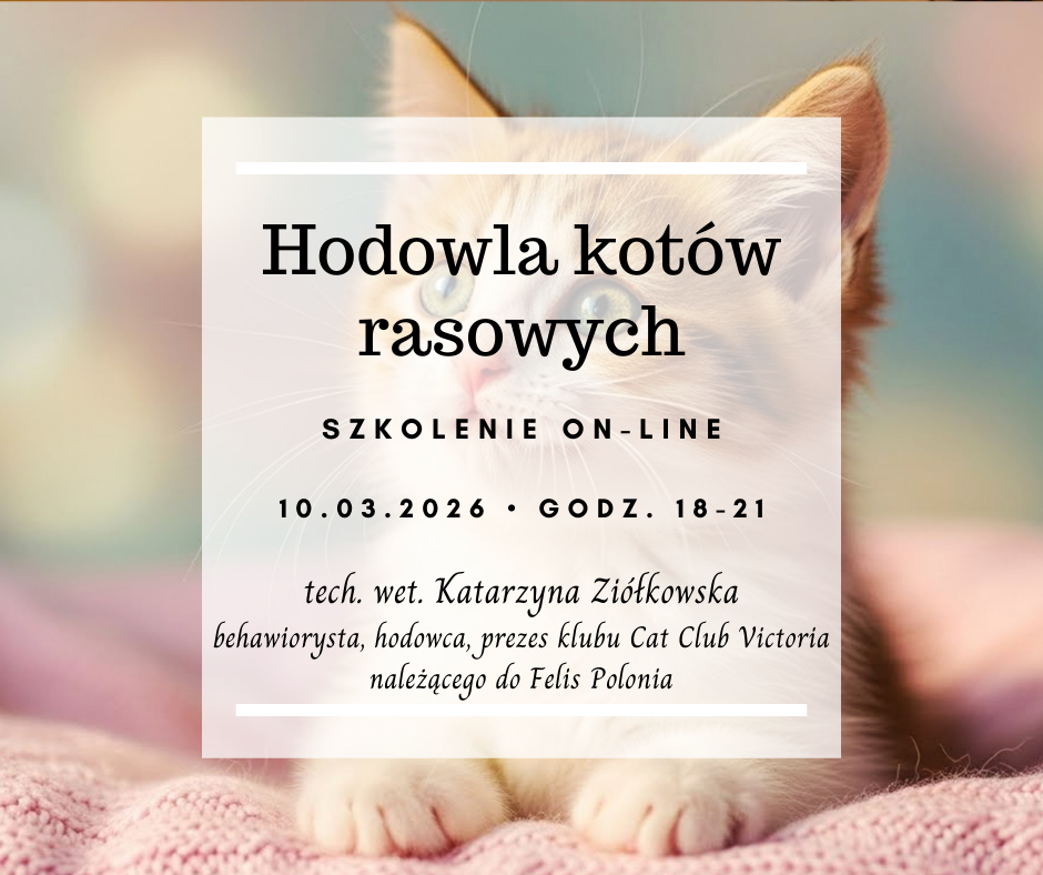 Hodowla kotów rasowych