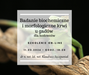 Badanie biochemiczne i morfologiczne krwi u gadów dla hodowców
