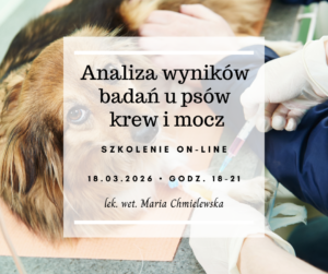 Analiza wyników badań u psów - krew i mocz