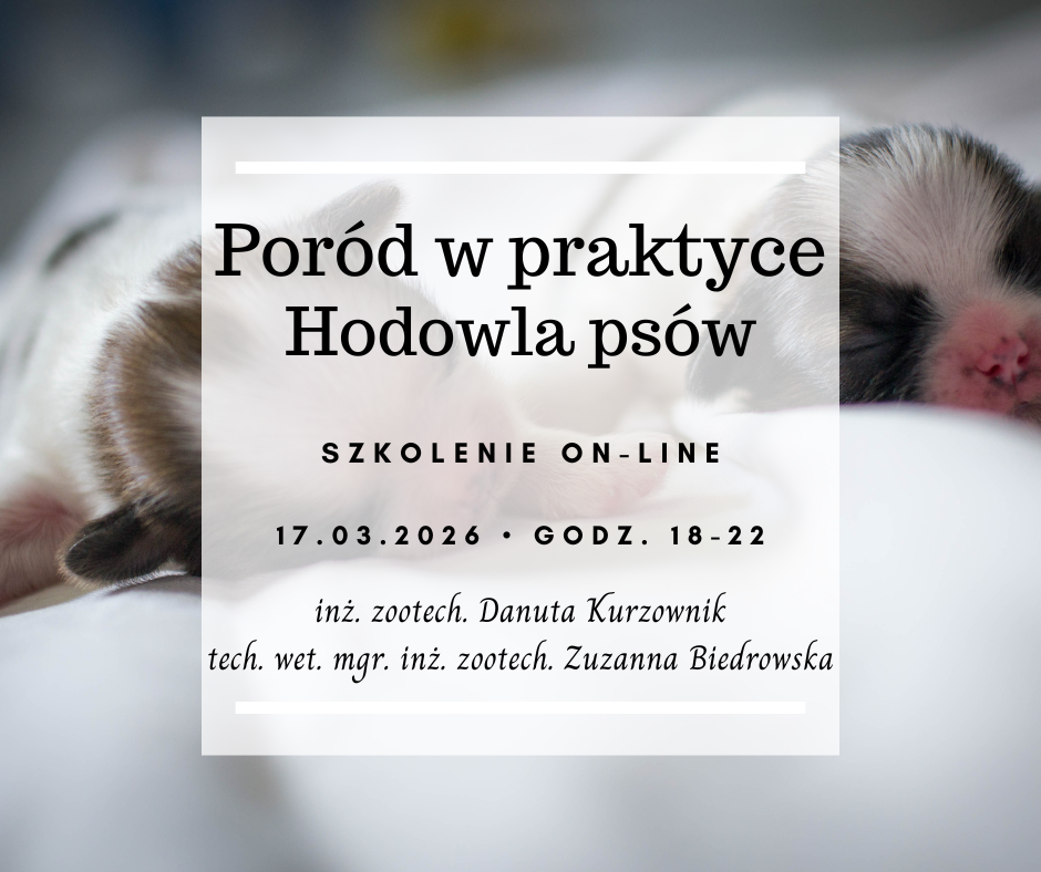 Hodowla psów - poród w praktyce