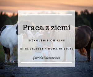 Praca z ziemi