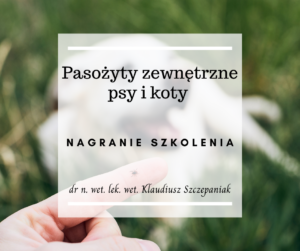 Pasożyty zewnętrzne - psy i koty