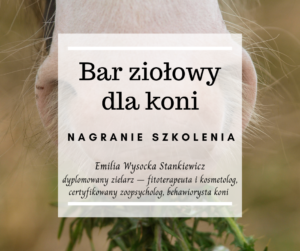 Bar ziołowy dla koni
