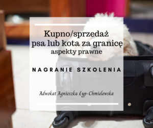 Kupno/sprzedaż psa lub kota za granicę - aspekty prawne