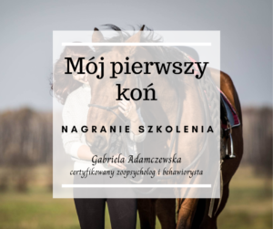 Mój pierwszy koń