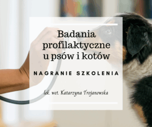 Badania profilaktyczne u psów i kotów