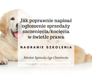 Jak poprawnie napisać ogłoszenie sprzedaży szczenięcia/kocięcia w świetle prawa