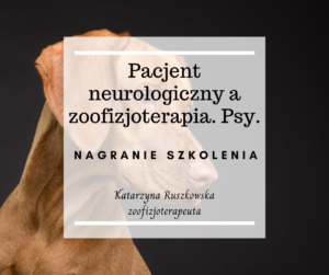 Pacjent neurologiczny a zoofizjoterapia. Psy.