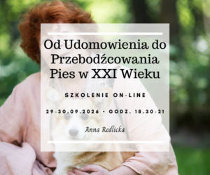 Od Udomowienia do Przebodźcowania – Pies w XXI Wieku